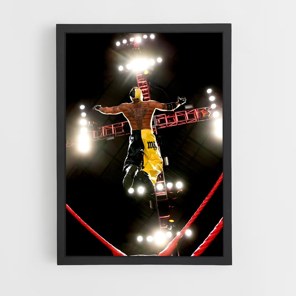 Poster Vol Suspendu (vue 2)